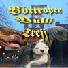 Bottroper Bulli Treff