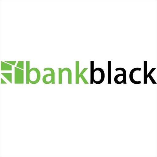 Bank Black USA Icon