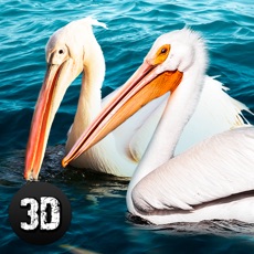 Activities of Pelican Simulator 3D: Bird Life