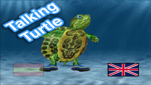 Talking Turtle · Learn playing