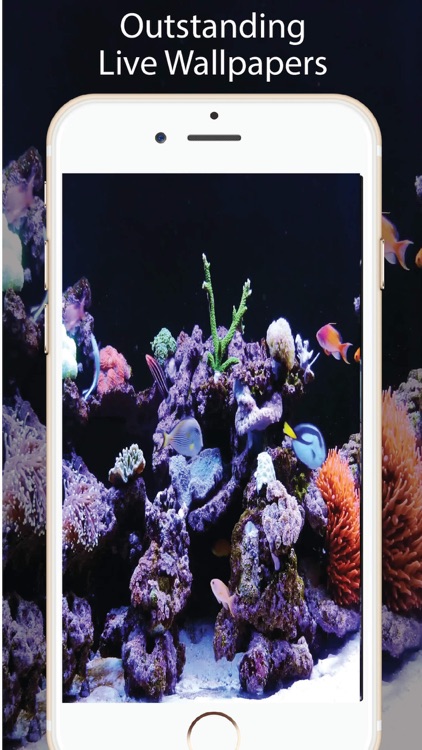 Aquarium Live Wallpapers Lite