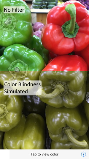 Ccolor - Color Blindness AR Solution