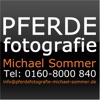 Pferdefotografie