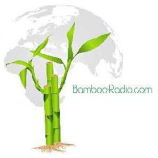 Bamboo-Radio