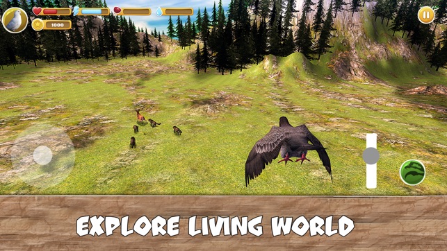 Wild Pigeon Simulator Full(圖3)-速報App