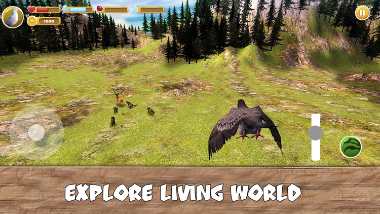 Wild Pigeon Simulator Full