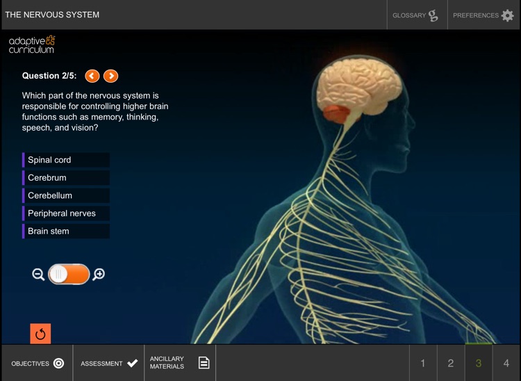 Exploring the Nervous System