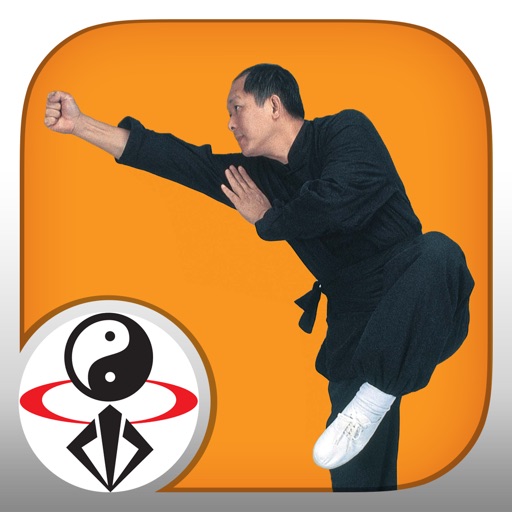 Shaolin Kung Fu Fundamental Training