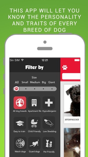 Dog File: Find the perfect dog breed that fits you(圖3)-速報App