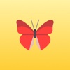 Butterfly: deep focus on one task using work timer