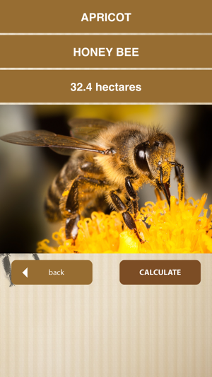 Bee Calculator(圖5)-速報App