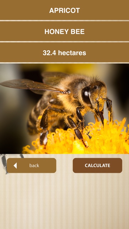Bee Calculator screenshot-4