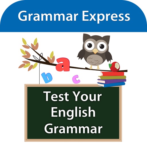 Test Your English Grammar Lite iOS App