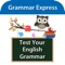 Test Your English Grammar Lite