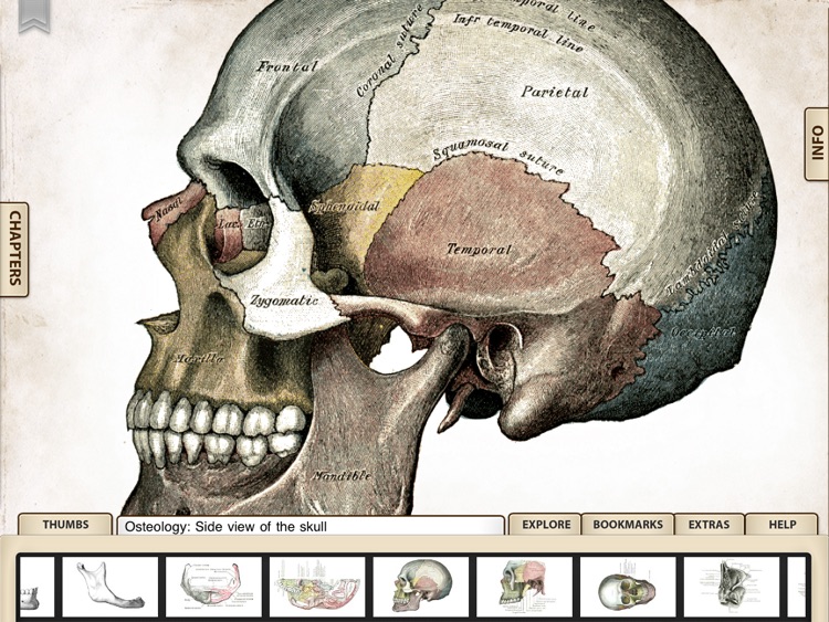 Grays Anatomy Student Edition for iPad