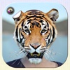 Animal Face Swap Photo Editor & Funny Stickers