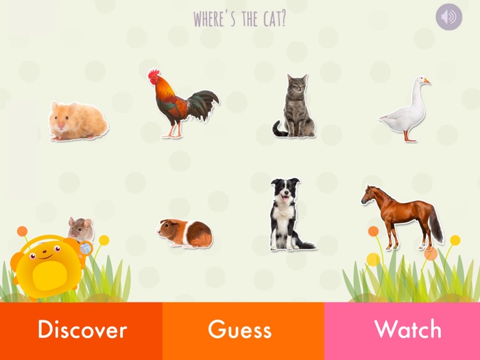Kid Safe Flashcards - Animals