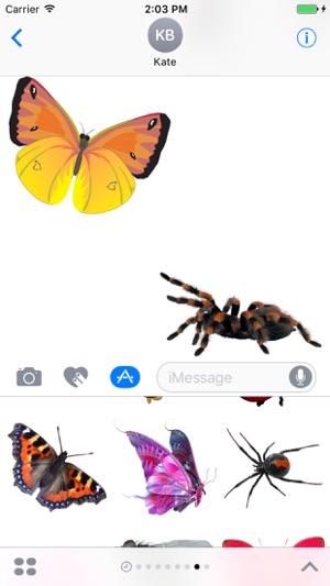 Best Insect Stickers