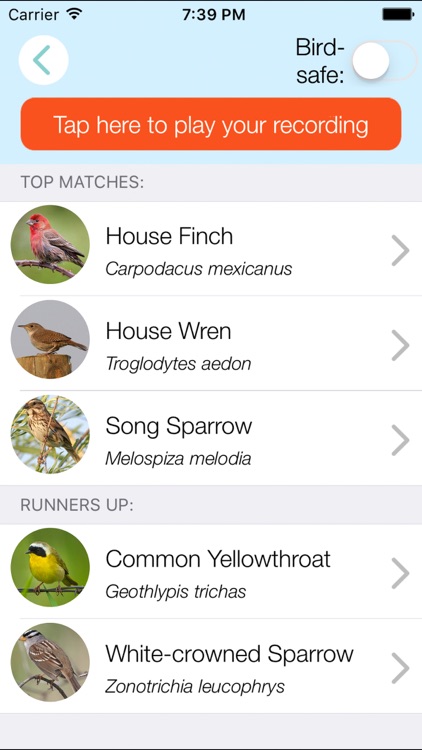 ChirpOMatic USA, Automatic Bird Song Recognition