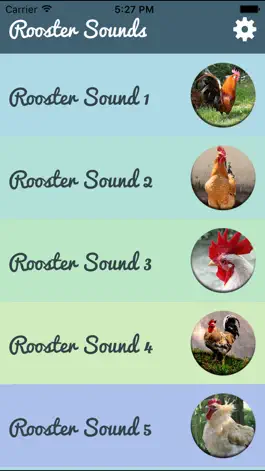 Game screenshot Rooster Sound – Rooster Crowing Sound apk