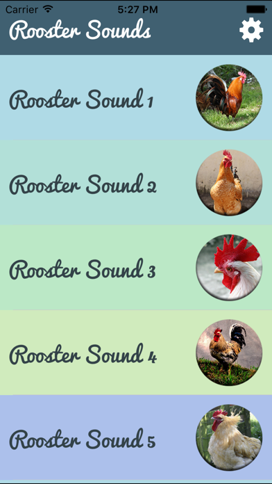 How to cancel & delete Rooster Sound – Rooster Crowing Sound from iphone & ipad 2