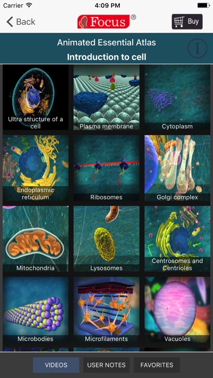 Animated Essential Atlas of Anatomy and Physiology
