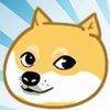 CrashDoge.io