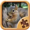 Find the best puzzle games for kids in jigsaw puzzles app