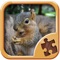 Animal Jigsaw Puzzles - Fun Logic Game