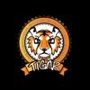 TIGAR Gymnastics