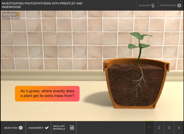 Investigating Photosynthesis 2