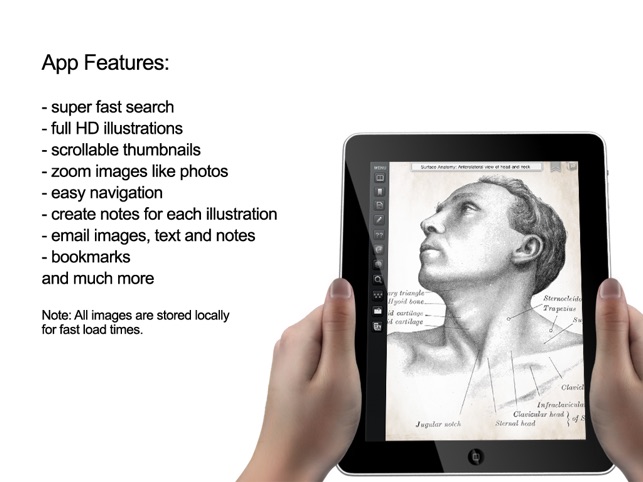 Gray's Anatomy Premium for iPad(圖3)-速報App