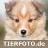 TierFoto.de - TierFotograf
