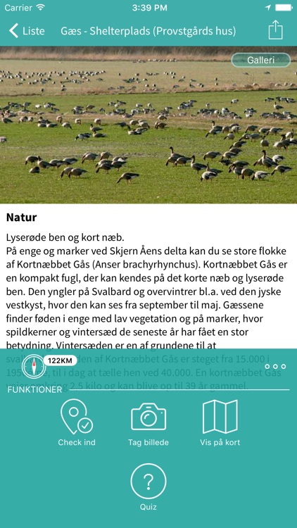 Skjern Å screenshot-3