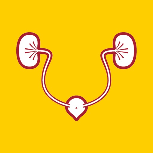 Natural Remedies For Kidney Stones icon