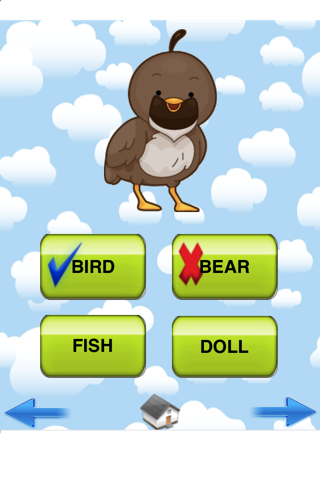 Starter Reading Flash Cards - náhled