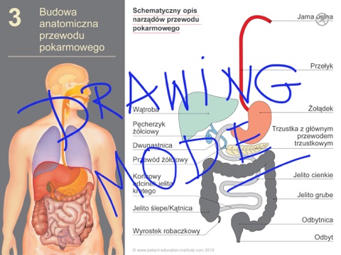 Bariatria screenshot 3