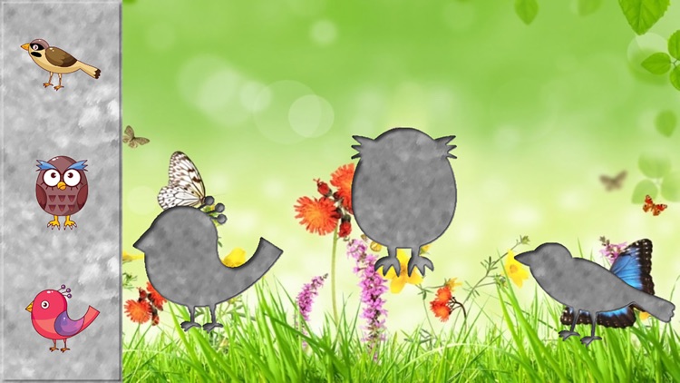 Birds Puzzles for Toddlers and Kids