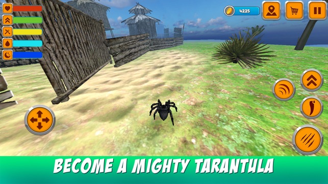 Wild Life of Tarantula Spider(圖1)-速報App