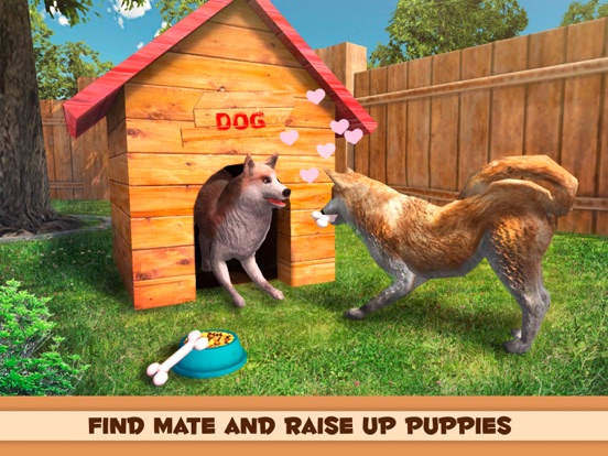 犬と遊ぶ：芝犬のおすすめ画像4