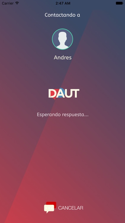 Daut Partner