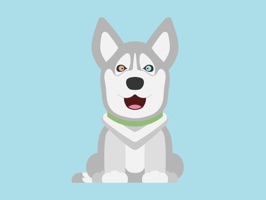 Naara the Husky