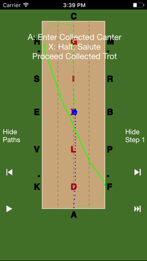 EquiSketch Dressage(圖2)-速報App