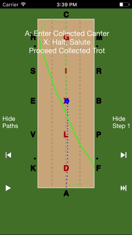 EquiSketch Dressage