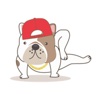 Funny English Bulldog Sticker Pack