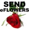 Send fantastic eflowers with handwritten personal message