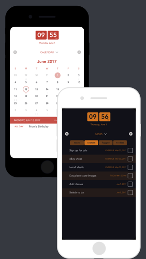 Daypiece - Minimal Planner All in One(圖3)-速報App