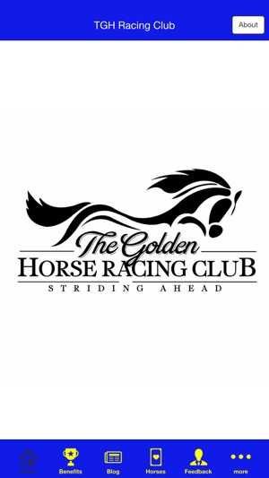 TGH Racing Club(圖1)-速報App