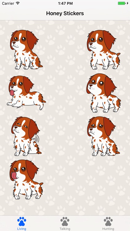 Honey the Brittany Spaniel