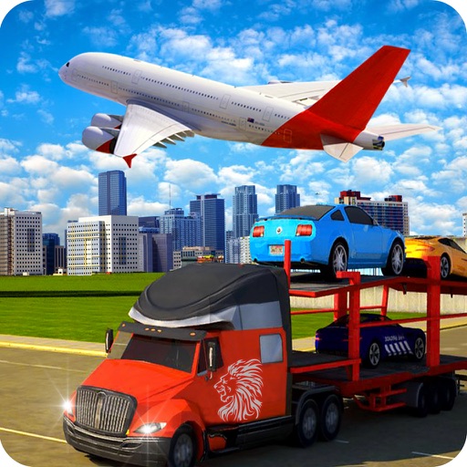 3D Transporter Cargo Air Plane Simulator 2017 icon